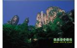 網(wǎng)絡熱門純玩游：張家界、天子山、袁家界、楊家界 自助三日游