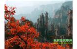春節(jié)期間：張家界、天子山、金鞭溪自駕車精華精品游