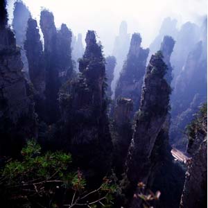 【純玩拼團線路】下午班：鳳凰古城、張家界、天子山三晚四日游