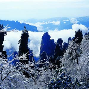 LD線：張家界、天子山、楊家界、猛洞河漂流純玩四日游