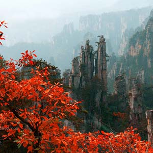 休閑自駕E線：張家界、袁家界、天子山、寶峰湖、鳳凰古城、沱江泛舟四晚五日游