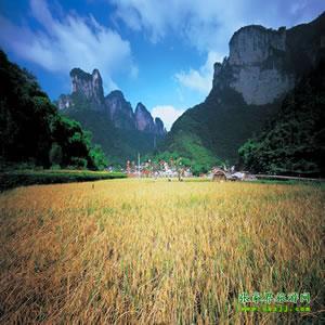 張家界往返純玩散拼：矮寨大橋、德夯苗寨、鳳凰古城、芙蓉鎮(zhèn)二日游