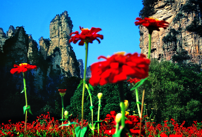 LF線：張家界國家森林公園、猛洞河漂流、鳳凰古城純玩自助五日游